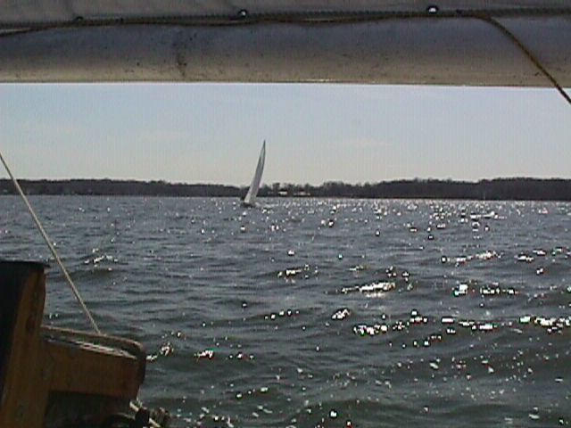 Great day for sailing!