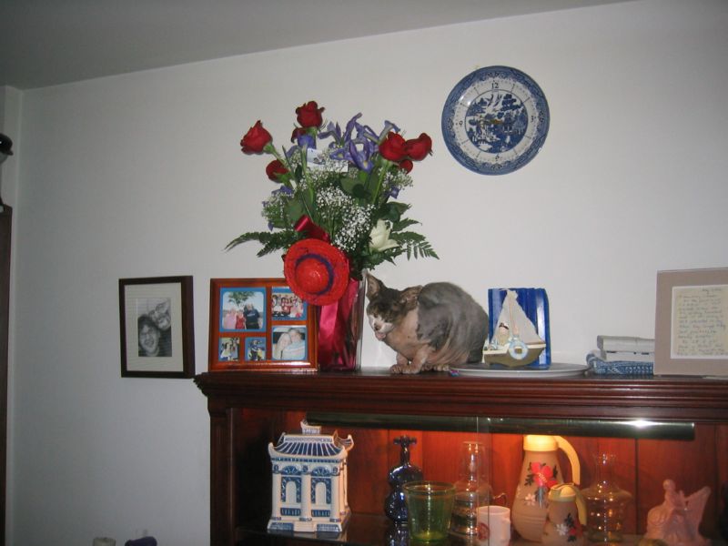 I had put the flowers up there...